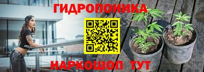 ALPHA PVP Комсомольск-на-Амуре